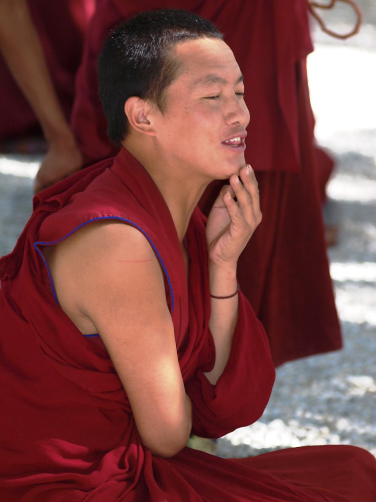 The monks at Sera Monastery debate Doctrines every day